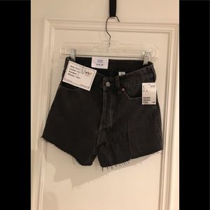 Brand new short